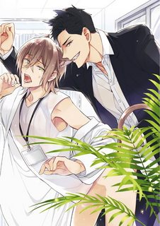 hon-anh-1.jpg