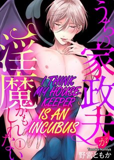 toi-nghi-nguoi-giup-viec-la-incubus.jpg