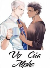 vo-cua-alpha.jpg