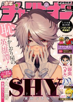 shy-4